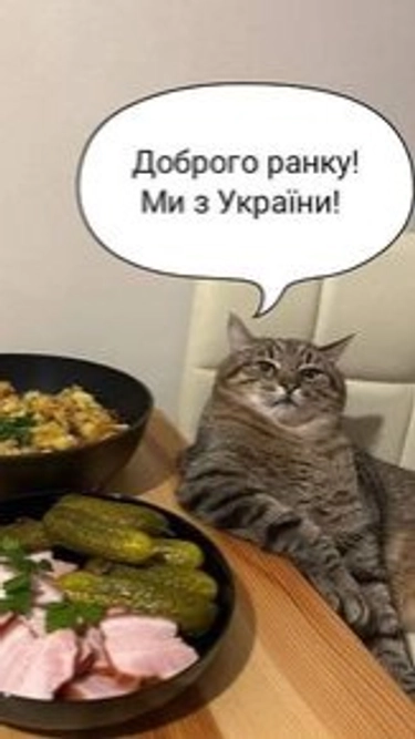 comment_image