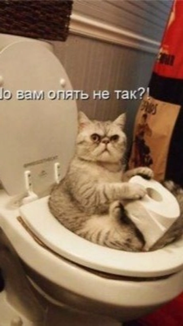 comment_image