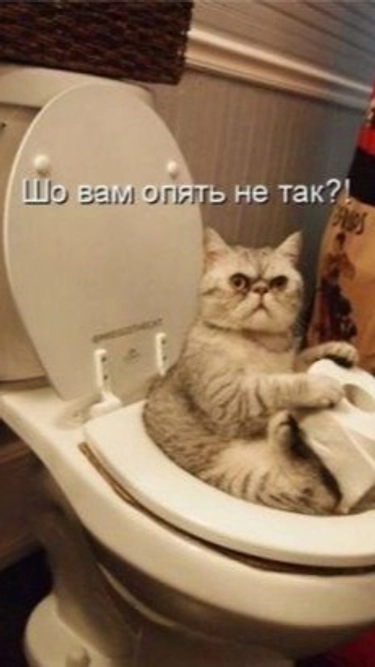 comment_image